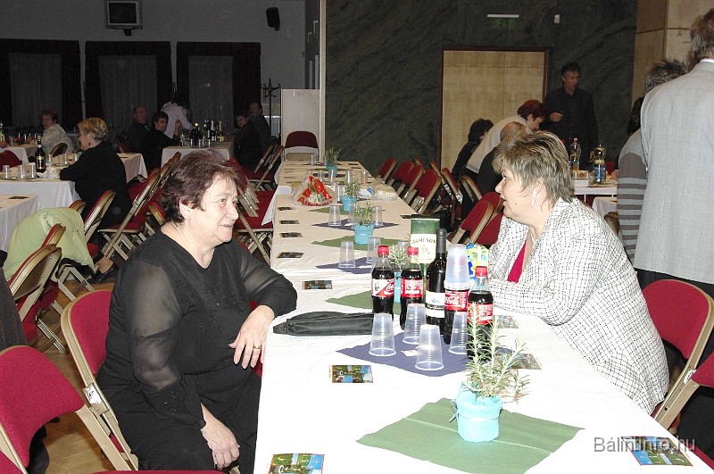 svab_bal_2009_006.jpg