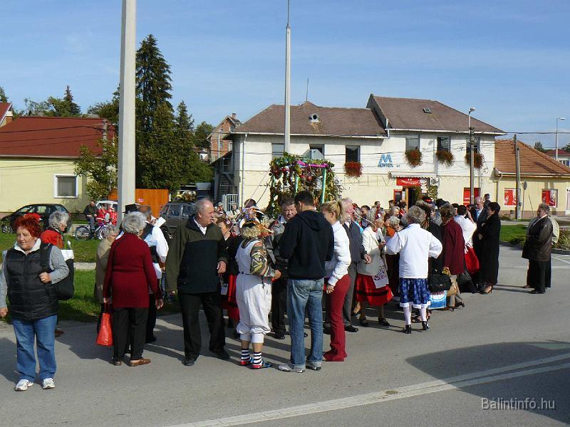 szuretifelvonulas_2008_018.JPG