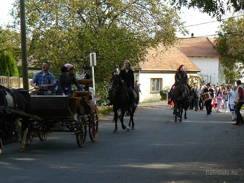 szuretifelvonulas_2008_031.jpg