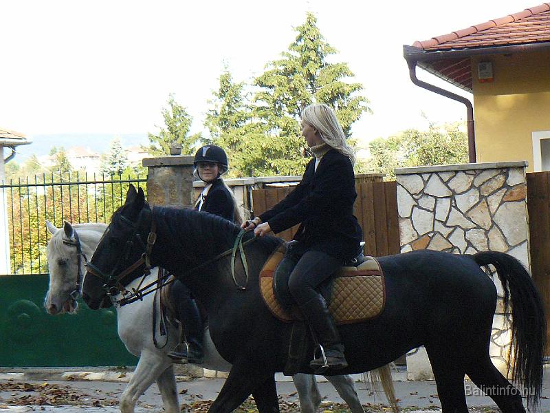szuretifelvonulas_2008_033.jpg