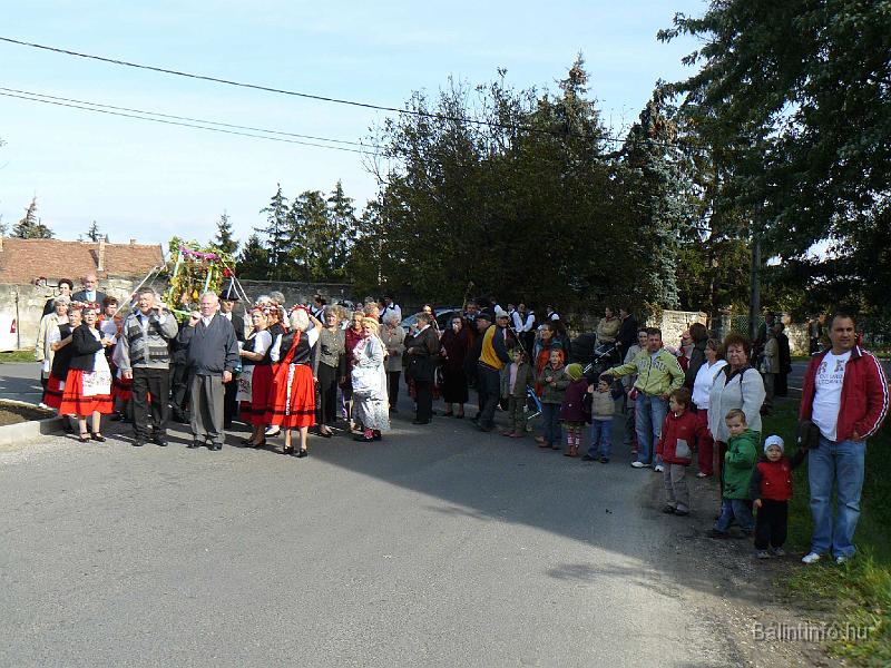 szuretifelvonulas_2008_039.jpg