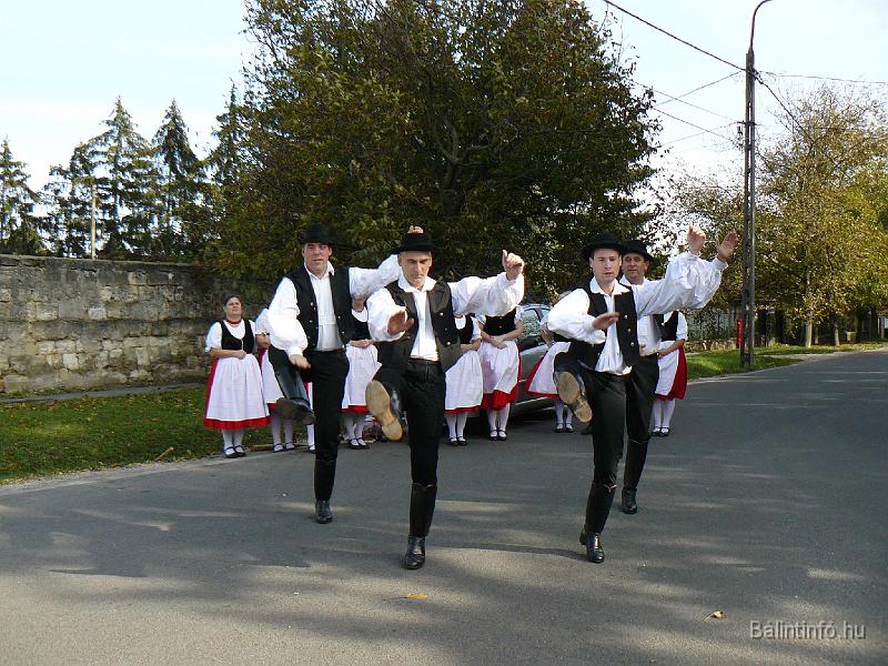 szuretifelvonulas_2008_040.jpg