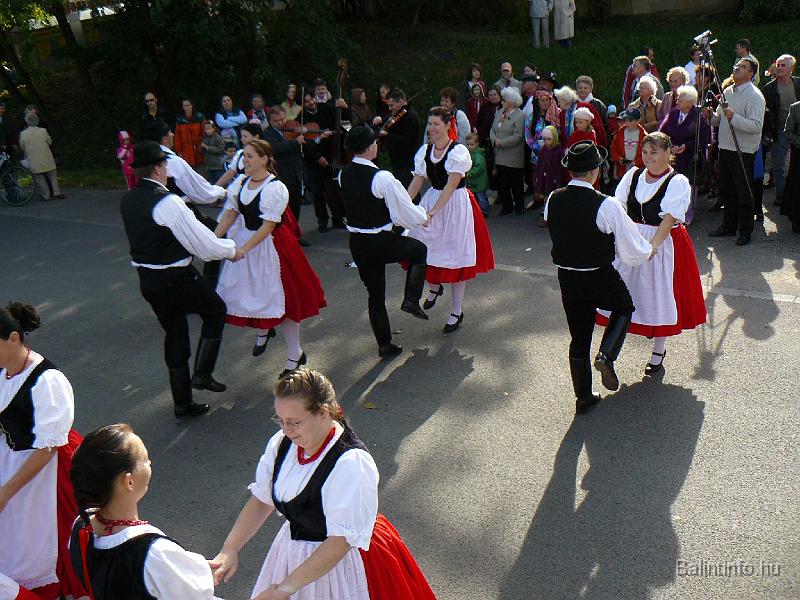 szuretifelvonulas_2008_045.jpg