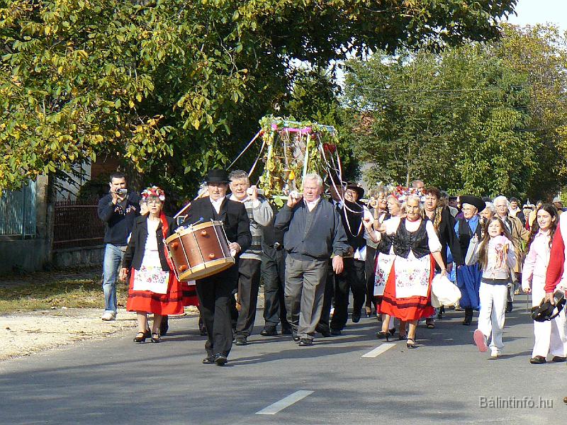 szuretifelvonulas_2008_053.jpg