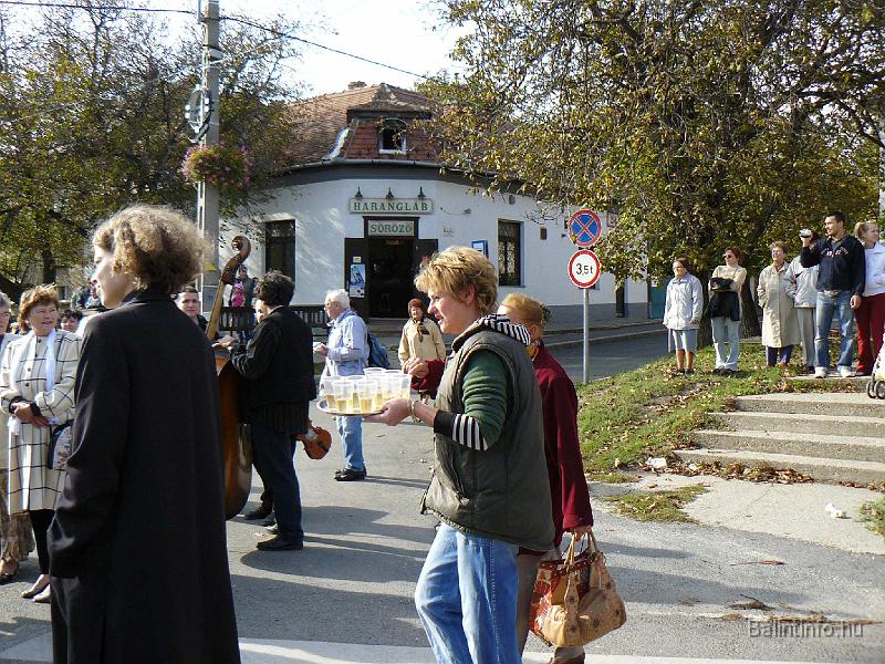 szuretifelvonulas_2008_057.jpg