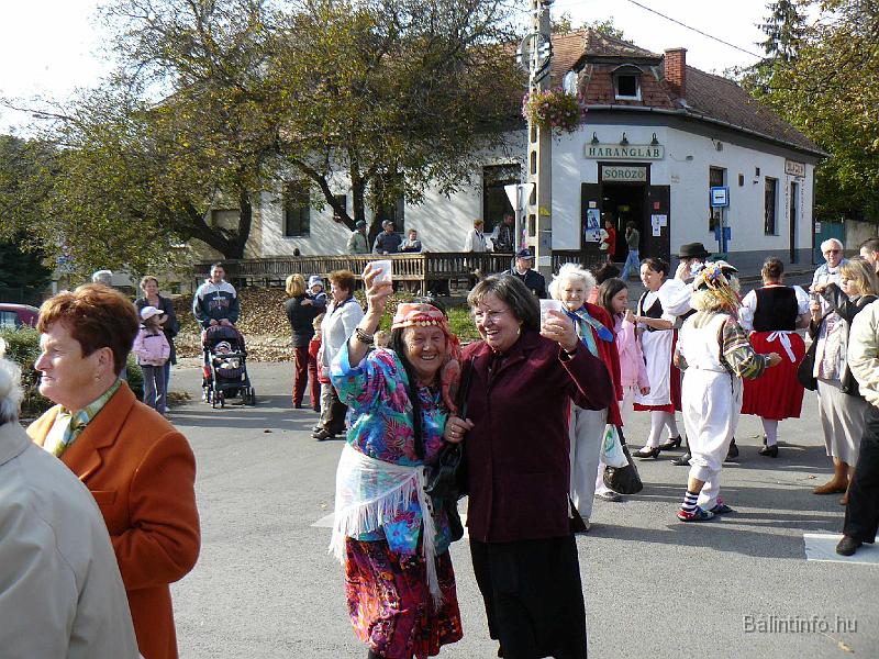 szuretifelvonulas_2008_059.jpg