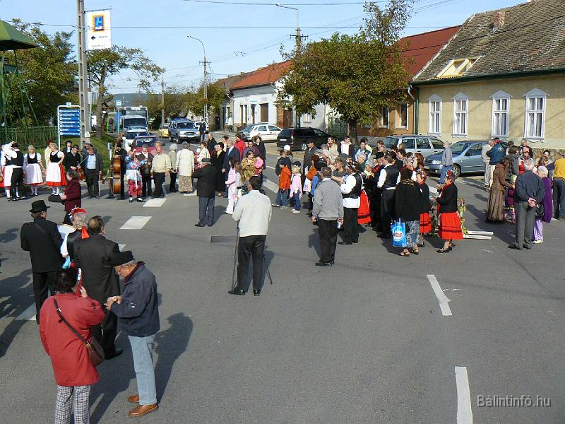 szuretifelvonulas_2008_061.jpg