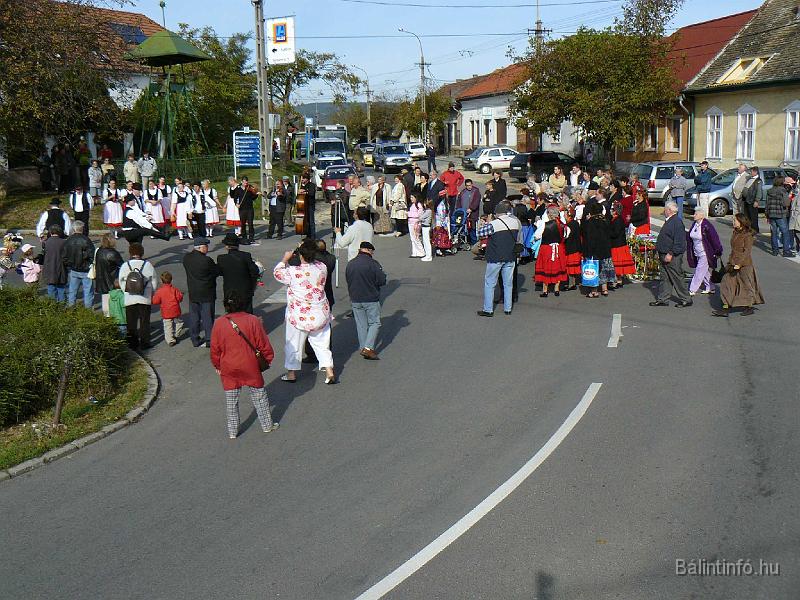 szuretifelvonulas_2008_062.jpg