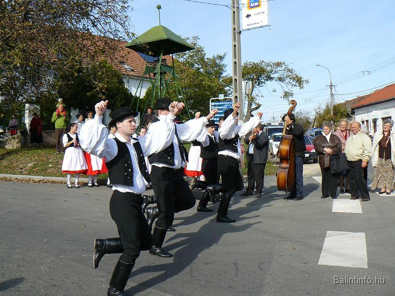 szuretifelvonulas_2008_063.jpg