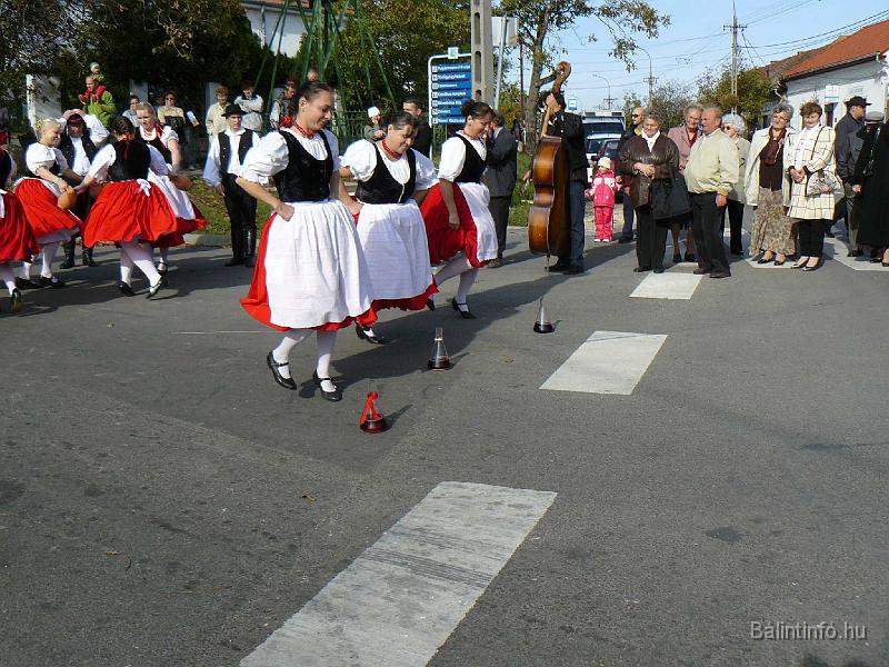 szuretifelvonulas_2008_066.jpg