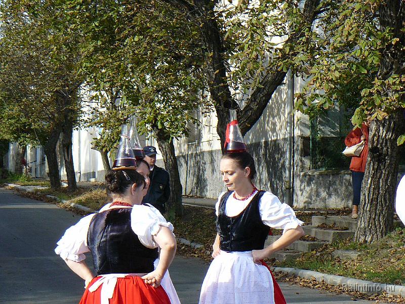 szuretifelvonulas_2008_069.jpg