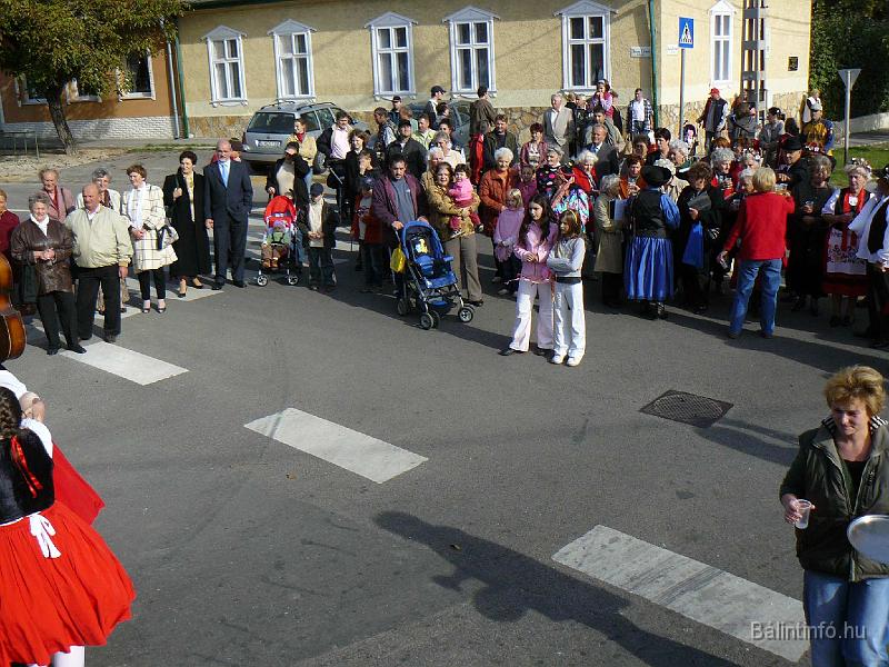 szuretifelvonulas_2008_072.jpg