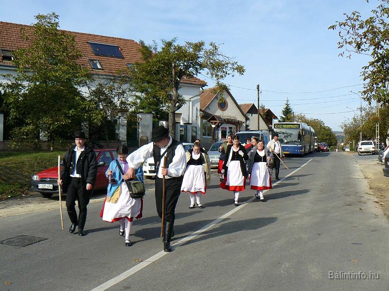 szuretifelvonulas_2008_077.jpg