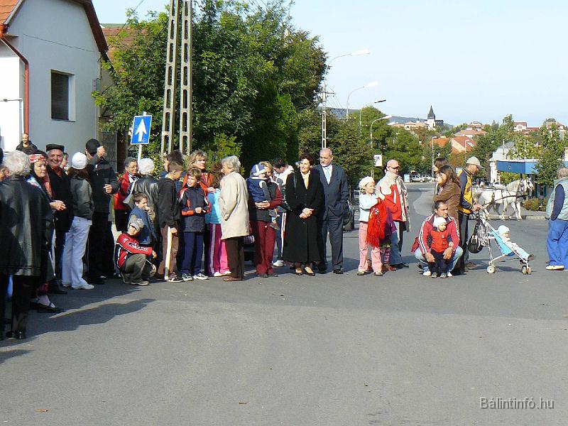 szuretifelvonulas_2008_079.jpg