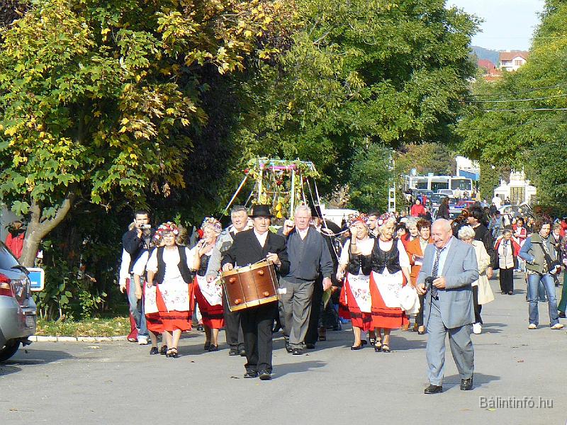 szuretifelvonulas_2008_087.jpg