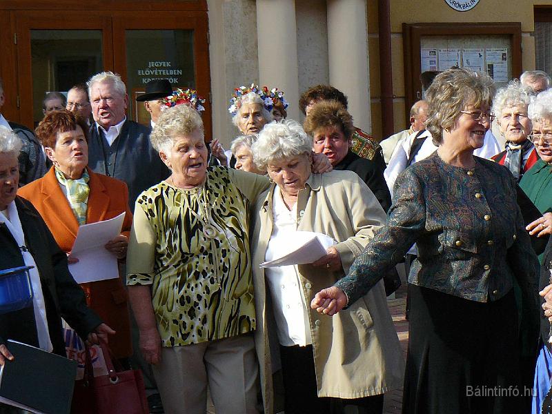 szuretifelvonulas_2008_093.jpg