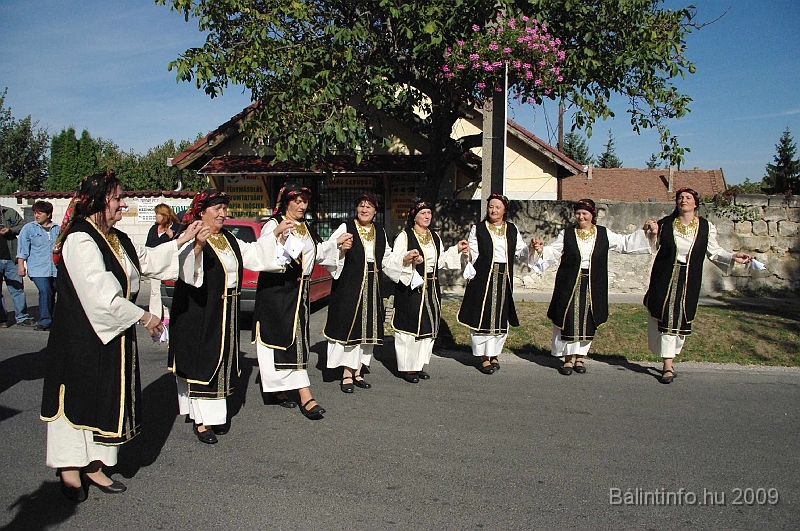 szuretibal_2009_028.jpg