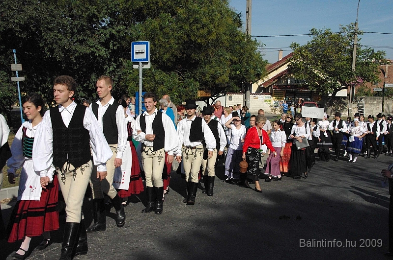 szuretibal_2009_040.jpg