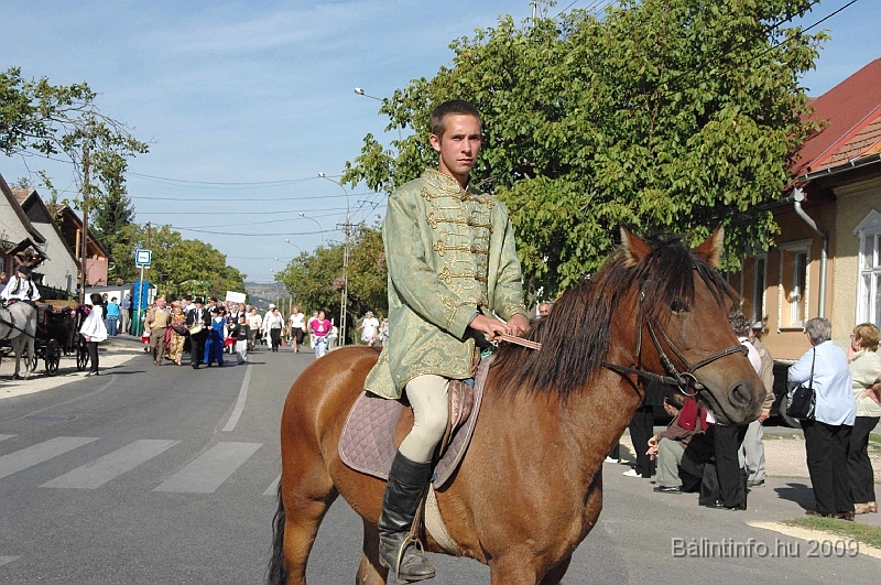 szuretibal_2009_054.jpg
