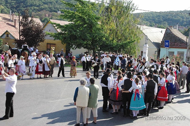 szuretibal_2009_064.jpg