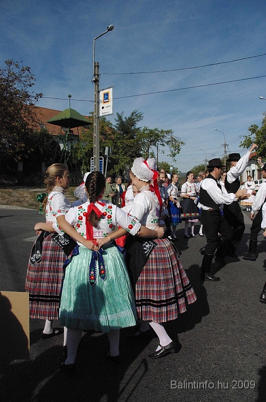 szuretibal_2009_070.jpg