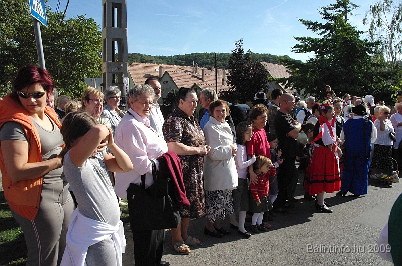 szuretibal_2009_080.jpg