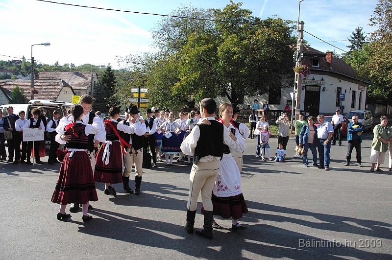 szuretibal_2009_082.jpg