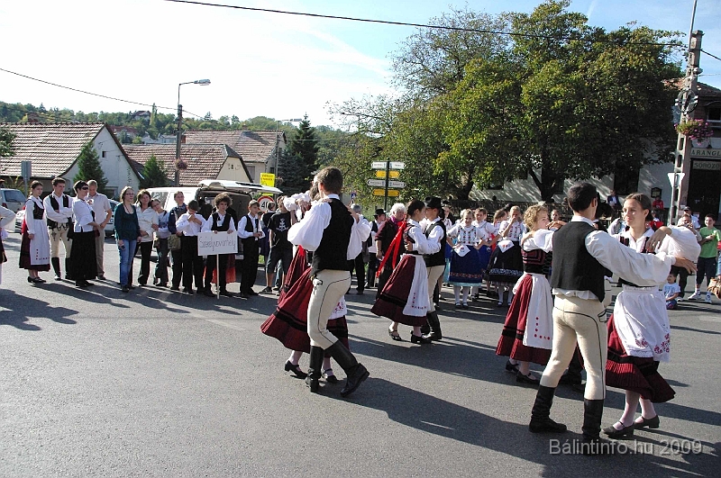 szuretibal_2009_083.jpg