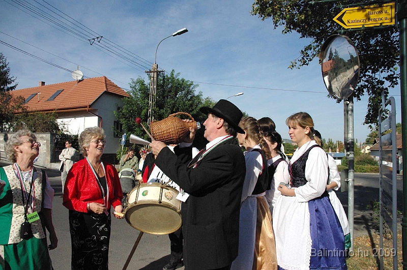 szuretibal_2009_093.jpg