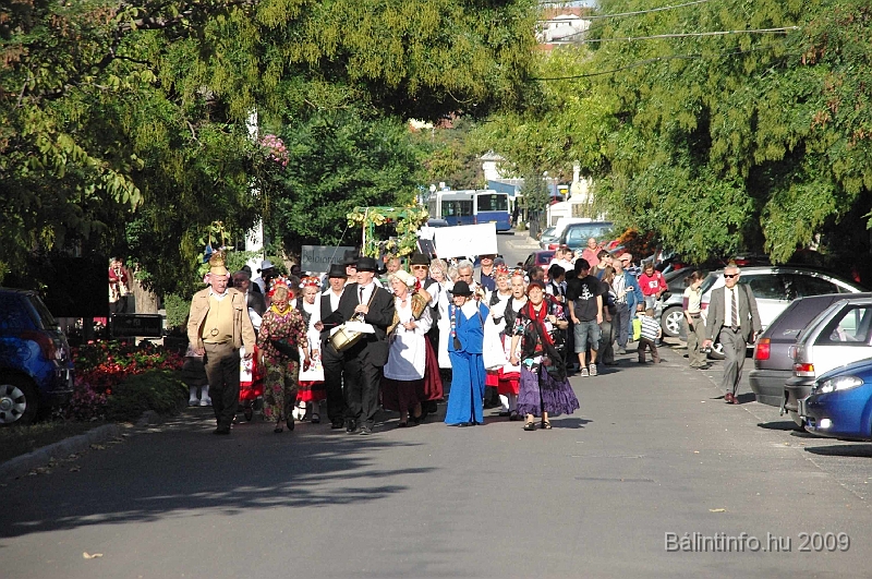 szuretibal_2009_104.jpg