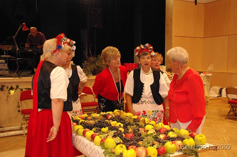 szuretibal_2009_199.jpg