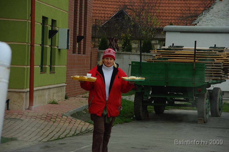 disznovagas_2009_0053.jpg