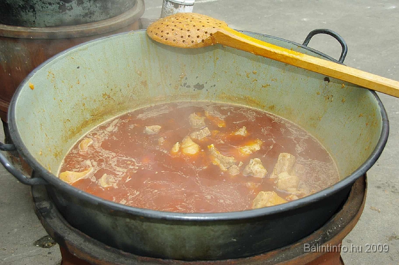disznovagas_2009_0092.jpg