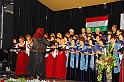 japan-magyar_est_2009.11.22.064
