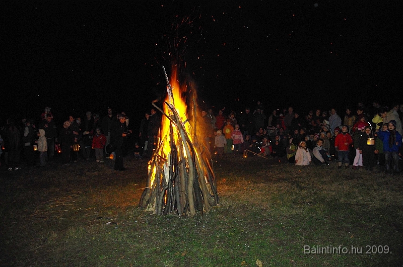 torokbalint_lapasfelvonulas_2009_040.jpg