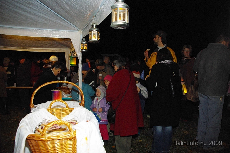 torokbalint_lapasfelvonulas_2009_068.jpg