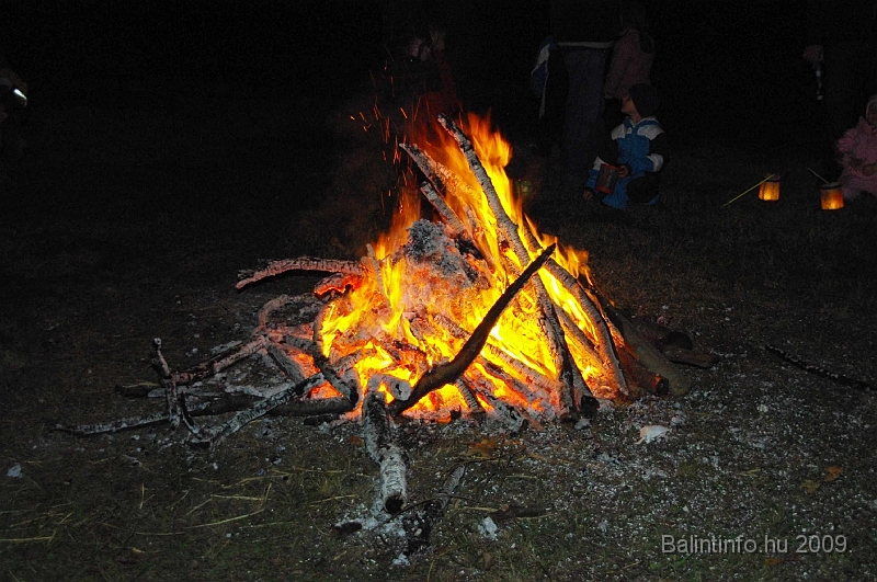 torokbalint_lapasfelvonulas_2009_072.jpg
