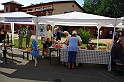 rendornap_2009_020