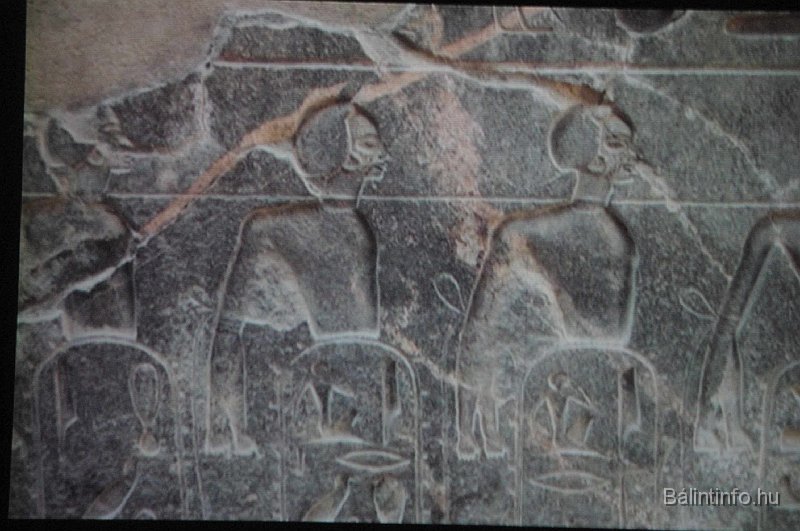 utazok_klubja_egyiptom_051.jpg